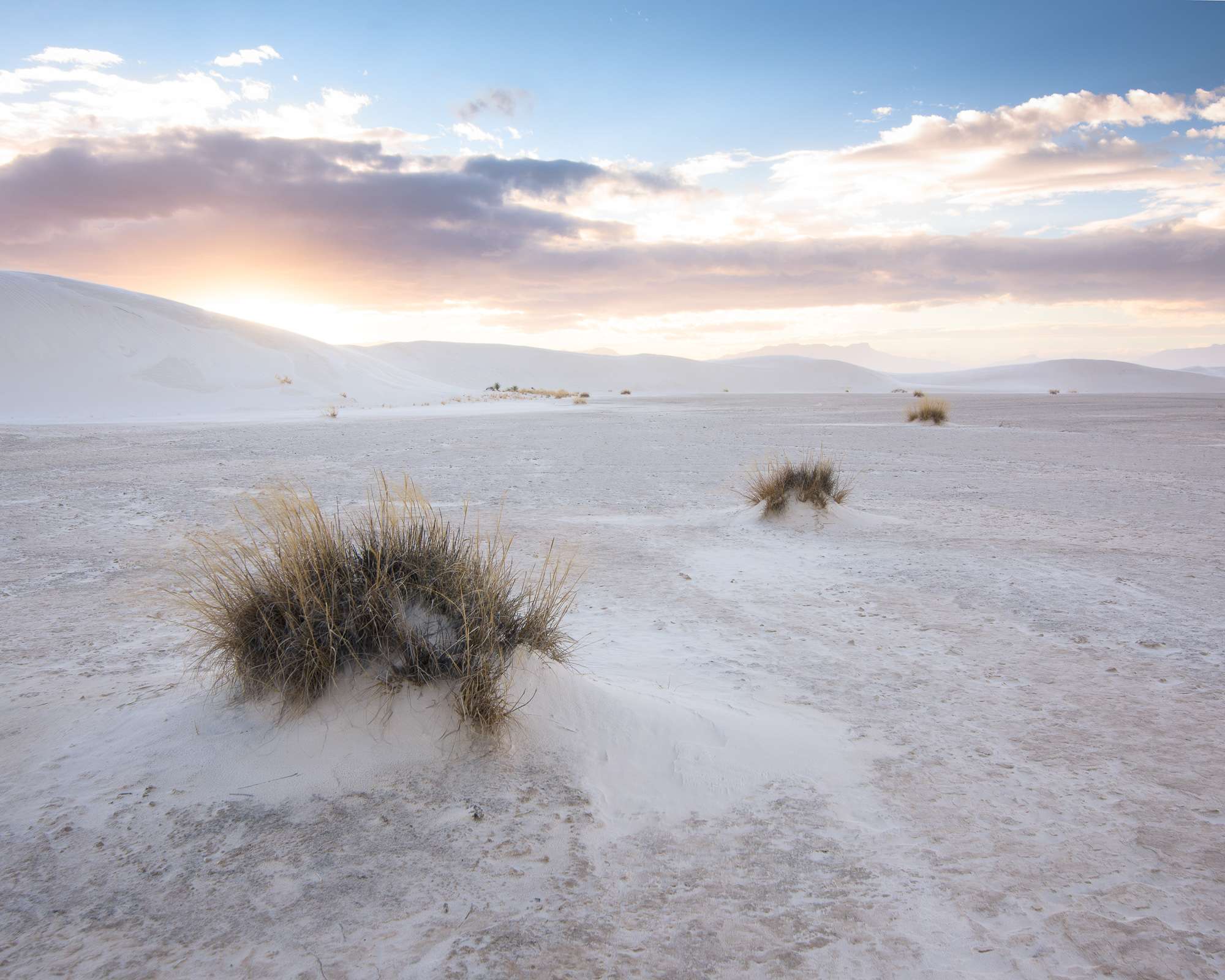White sands