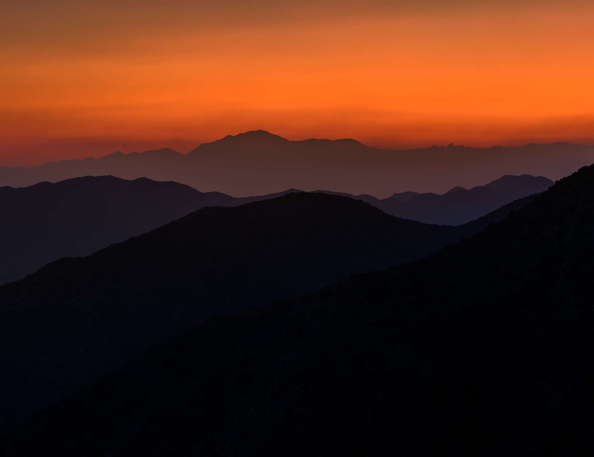 Sunset joshua tree