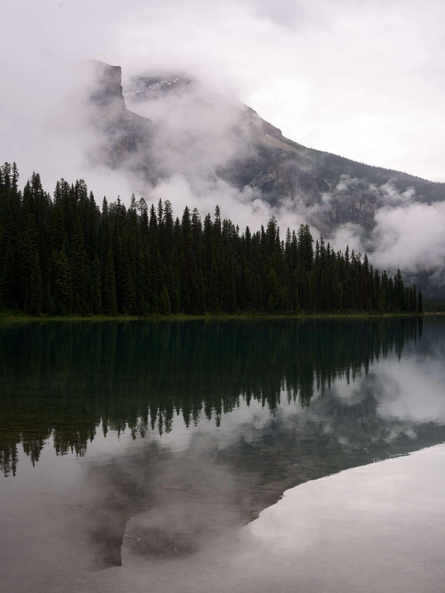 Reflections In Nature. - Products Dsc1577 Fog in banff national park