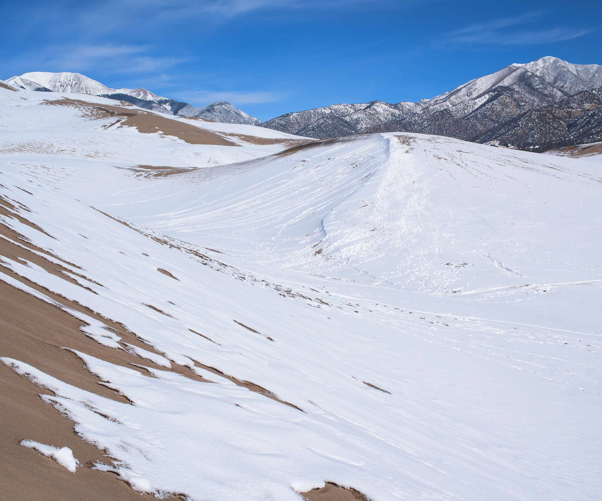Sand dunes national park winter