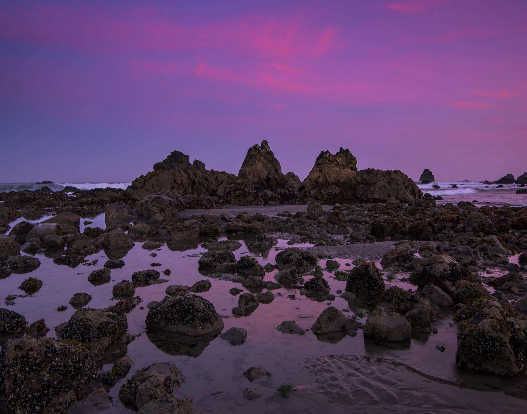 Redwood national park coast&nbsp;