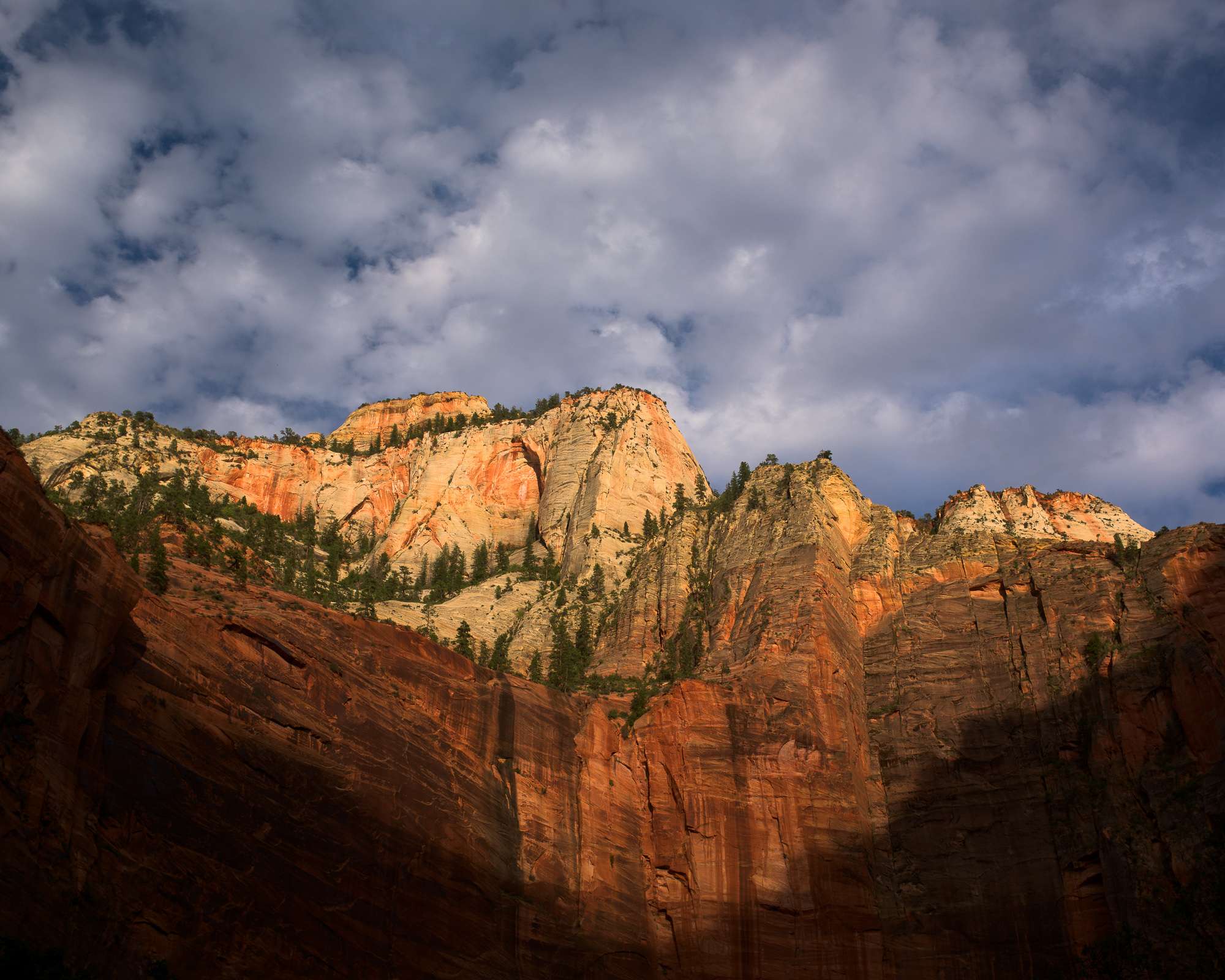 Zion national park