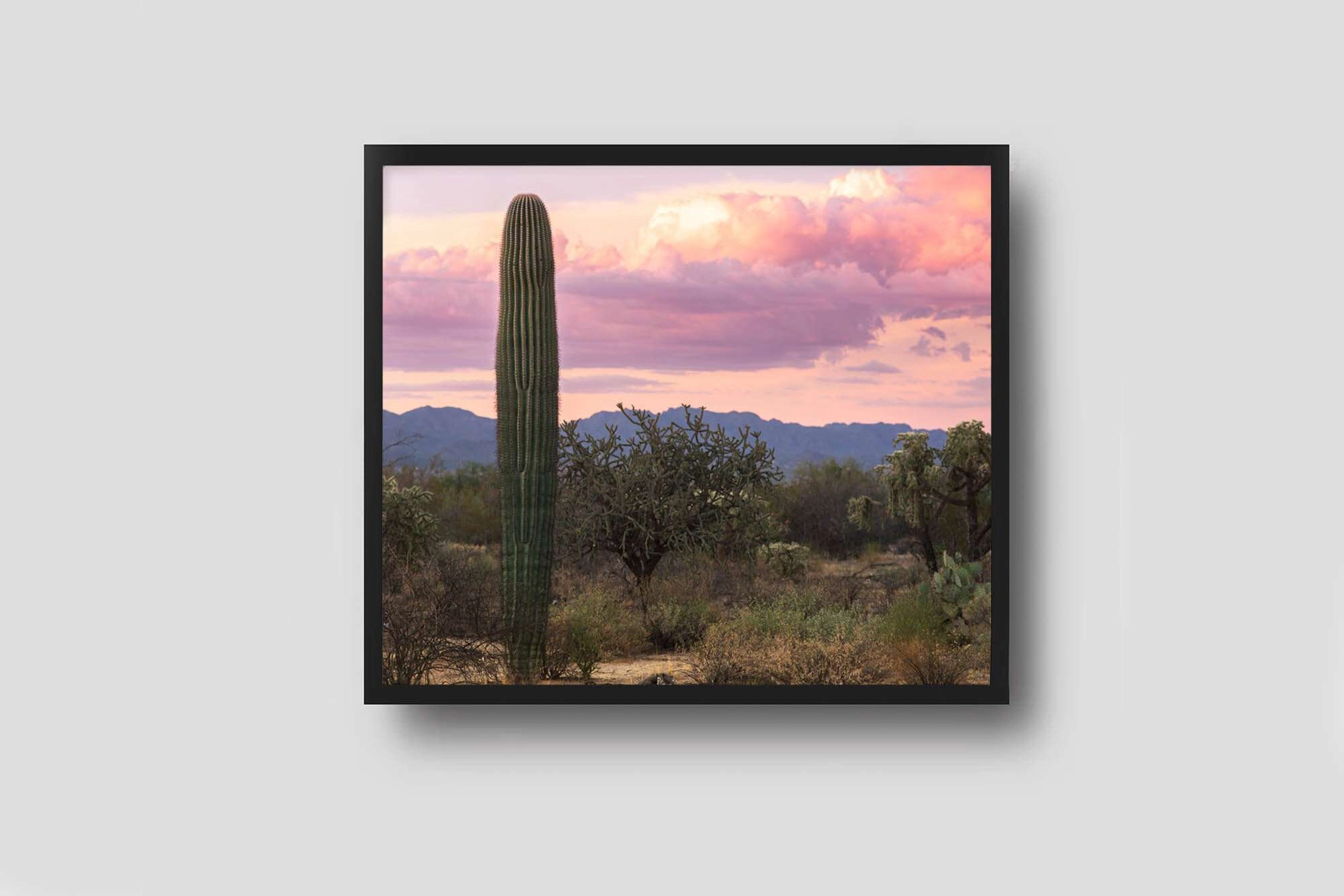 West Of Tucson. - Products Arizona Desert Photography Framed Arizona-desert-photography-framed. Jpg