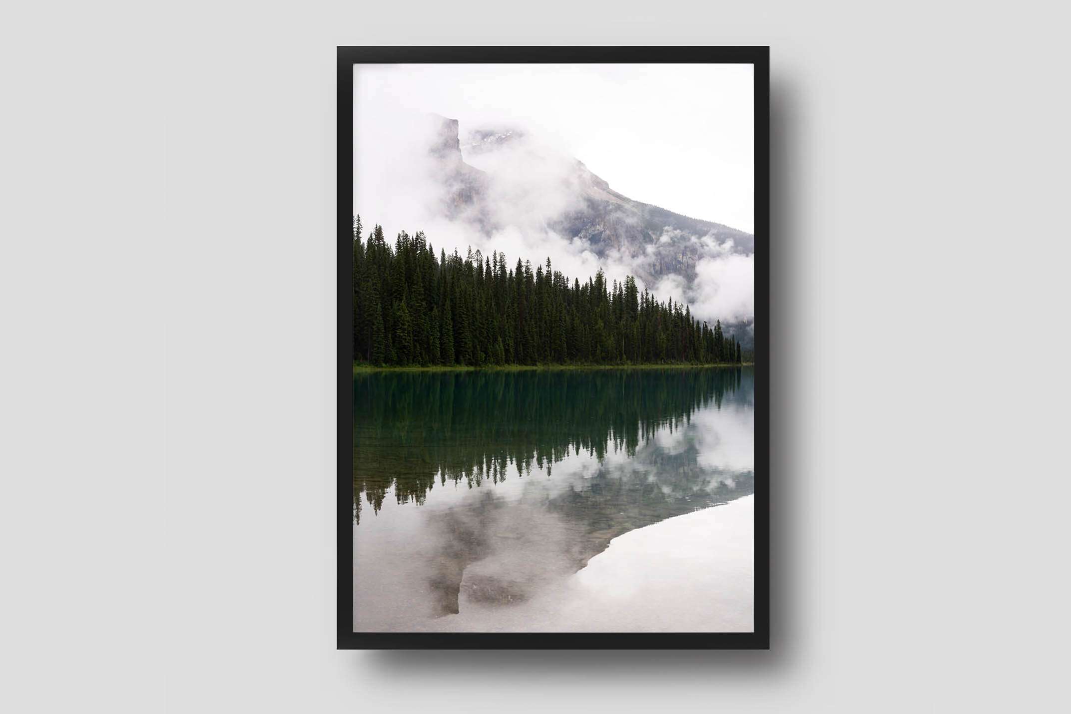 Reflections In Nature. - Products Framed Fog And Trees Framed-fog-and-trees