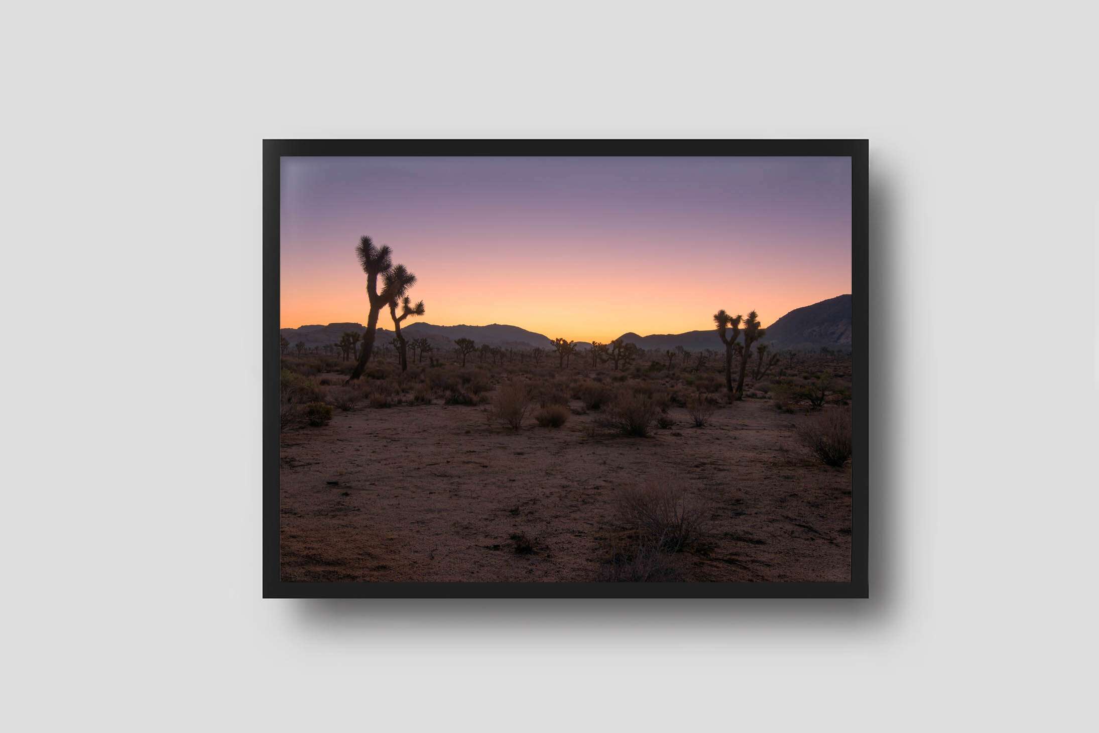 Ghosts Of The Desert - Products Ghosts Of The Desert Framed Ghosts-of-the-desert-framed. Jpg