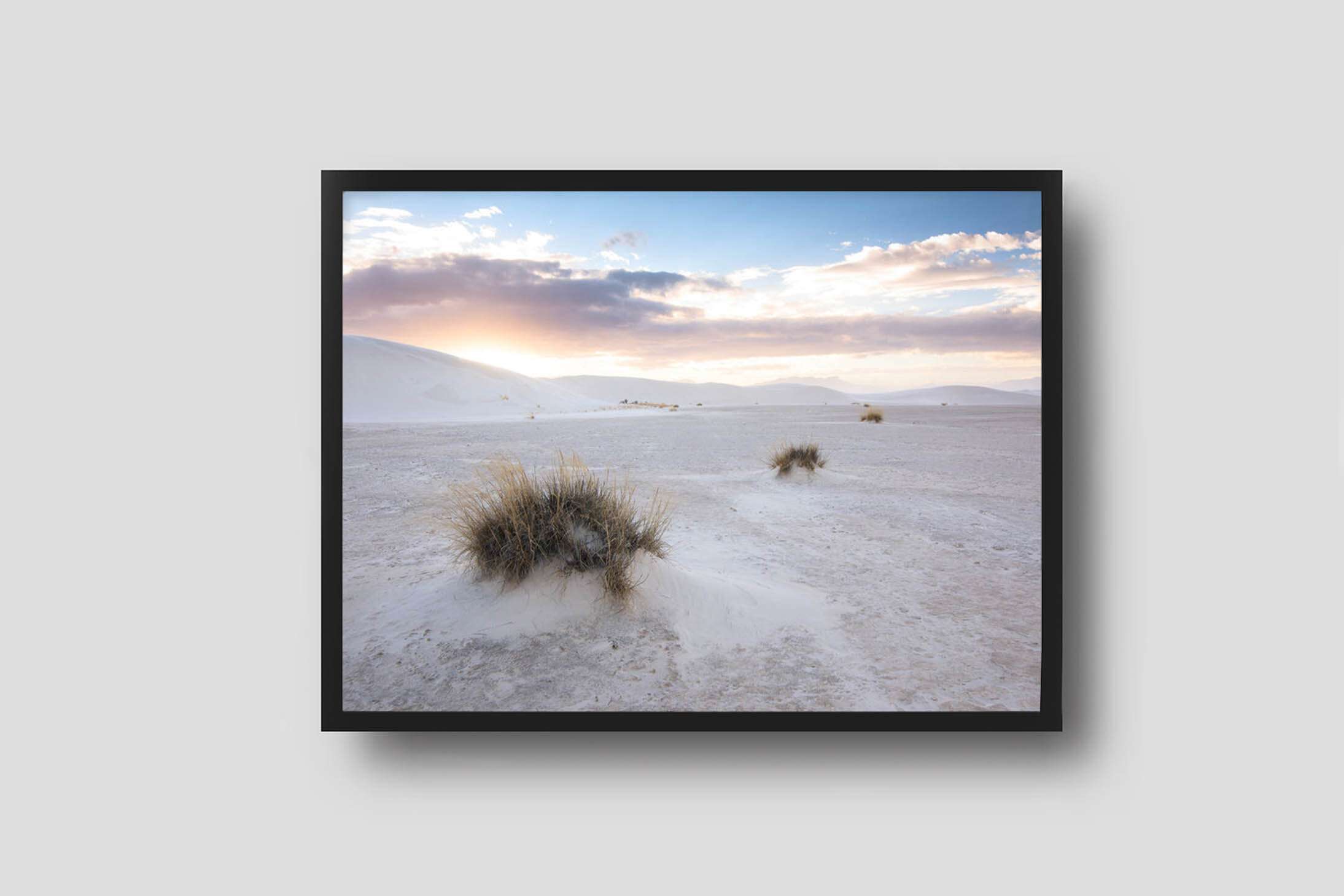 Grass In Desert - Products Grass In Desert Framed Photograph Grass-in-desert-framed-photograph