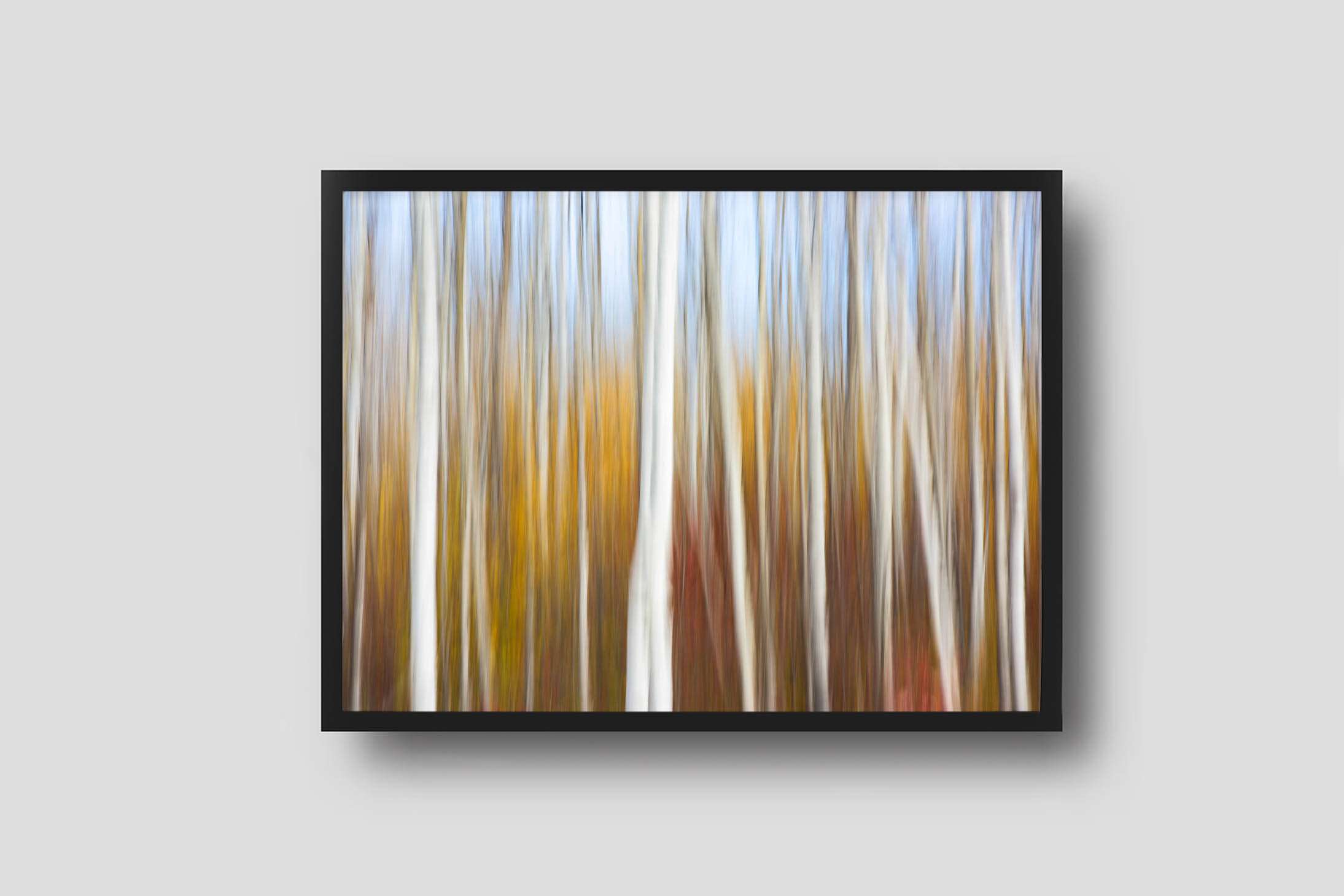 Son Of A Birch - Products Son Of A Birch Framed Photo Son-of-a-birch-framed-photo
